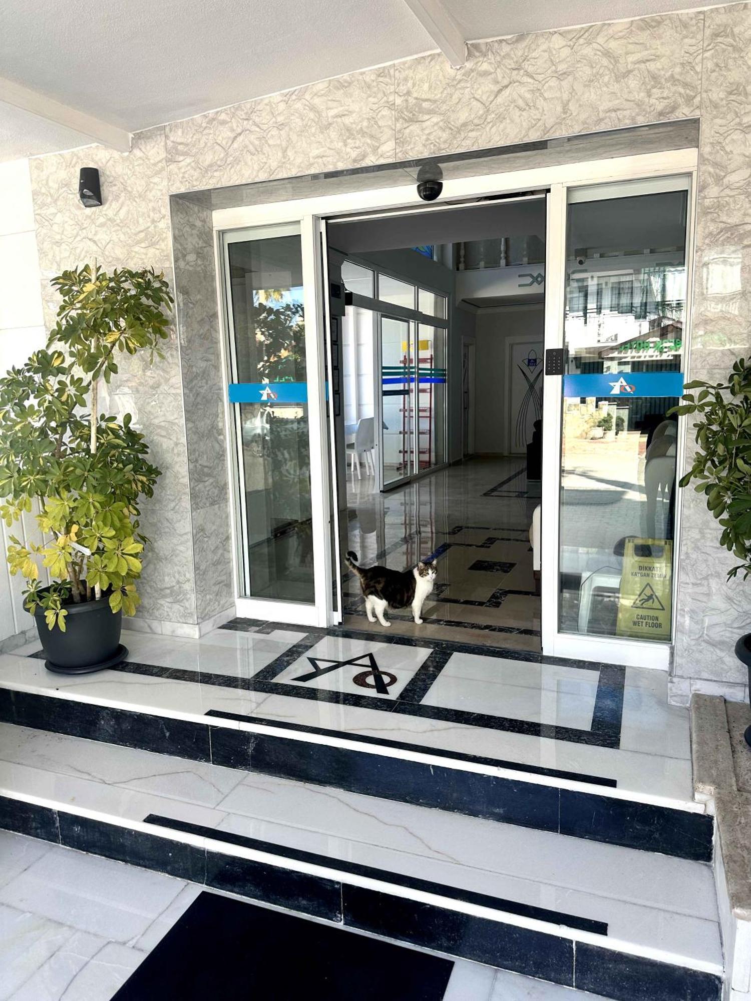 Amsterdam Otel Economic Room Kemer Exterior photo